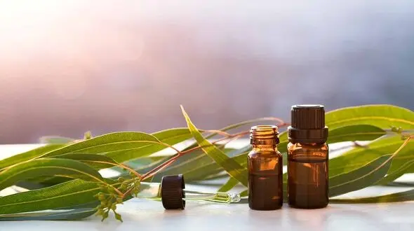 این روغن جادویی پوست را جوان می کند