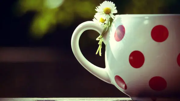 کلید سلامت را اینجا کلیک کنید