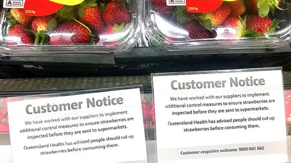 توت فرنگی های آلوده بازهم دردسر آفرید