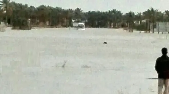 نجات 15 گردشگر عمانی به وسیله لودر از میان سیل بندرچارک +عکس