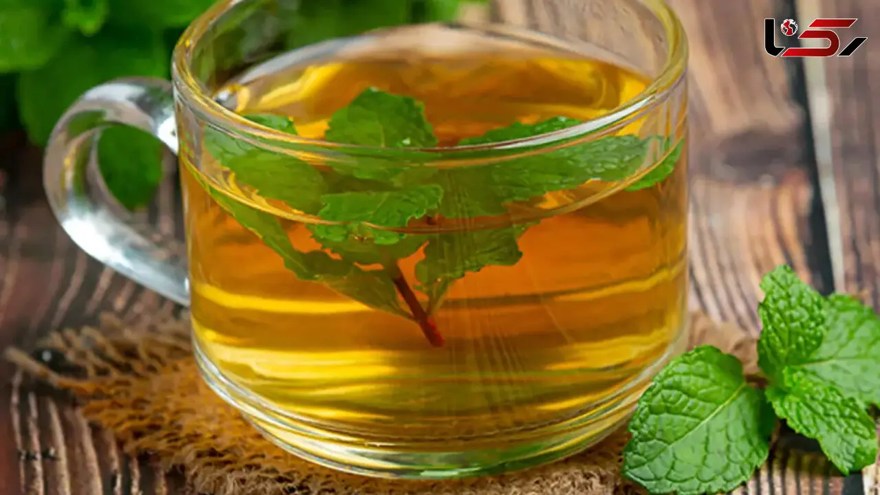چای نعناع؛ نوشیدنی آرام‌ بخش برای گوارش / طرز تهیه + بهترین زمان مصرف چای نعناع