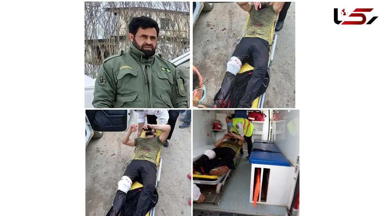  عکس / حمله هولناک با سلاح سرد به محیط بان گیلانی