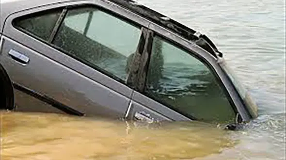 سیل در راه است / این فیلم را حتما ببینید! + جزییات