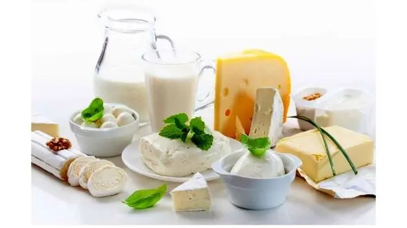 بهترین لبنیات برای سالمندان کدام است؟