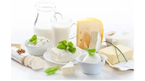 بهترین لبنیات برای سالمندان کدام است؟