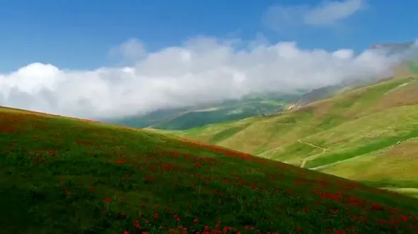 ببینید / نماهنگ بی کلام آرامش بخش به همراه تصاویر زیبا از گیلان + فیلم 