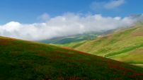 ببینید / نماهنگ بی کلام آرامش بخش به همراه تصاویر زیبا از گیلان + فیلم 