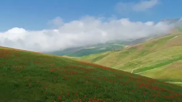 ببینید / نماهنگ بی کلام آرامش بخش به همراه تصاویر زیبا از گیلان + فیلم 
