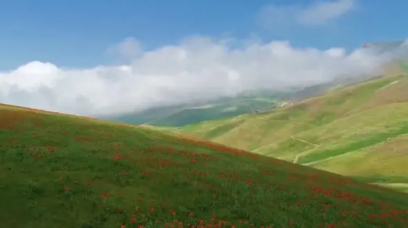 ببینید / نماهنگ بی کلام آرامش بخش به همراه تصاویر زیبا از گیلان + فیلم 