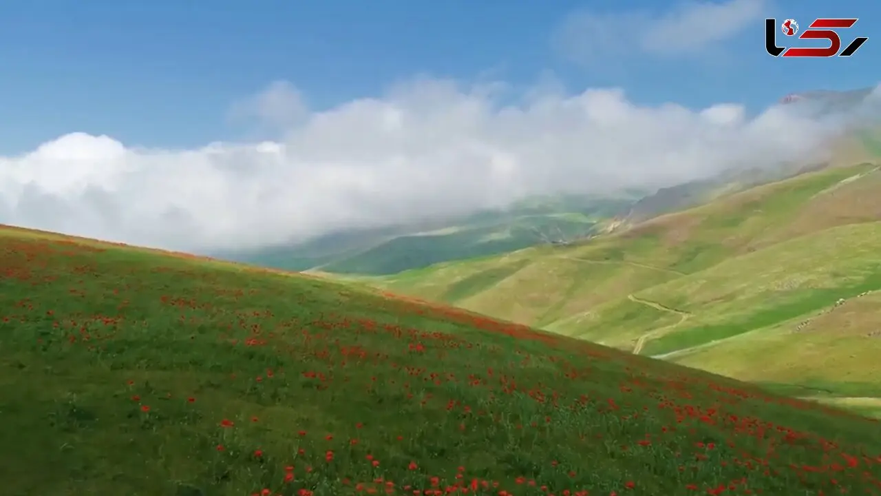 ببینید / نماهنگ بی کلام آرامش بخش به همراه تصاویر زیبا از گیلان + فیلم 