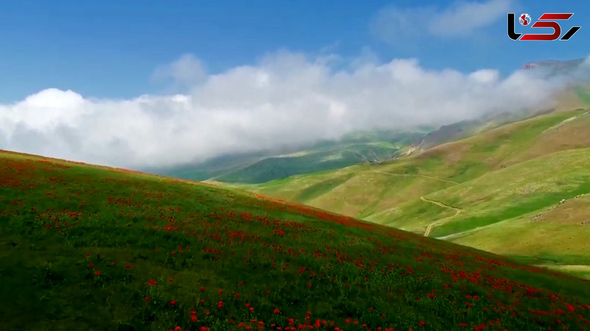 ببینید / نماهنگ بی کلام آرامش بخش به همراه تصاویر زیبا از گیلان + فیلم 