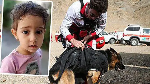 سگ های زنده یاب در جستجوی زهرای گمشده در جنوب تهران +عکس