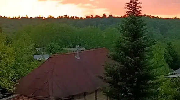 زیبایی جنگل هیرکانی و سوادکوه مازندران 