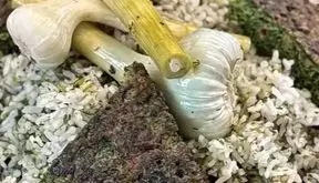 طرز تهیه سبزی پلو با کوکو سبزی، ترکیب محبوب و خوشمزه / فیلم