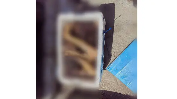 رازگشایی از جسد تکه تکه شده زنانه در خزانه/ متهمان یک زن و 2 مرد هستند!