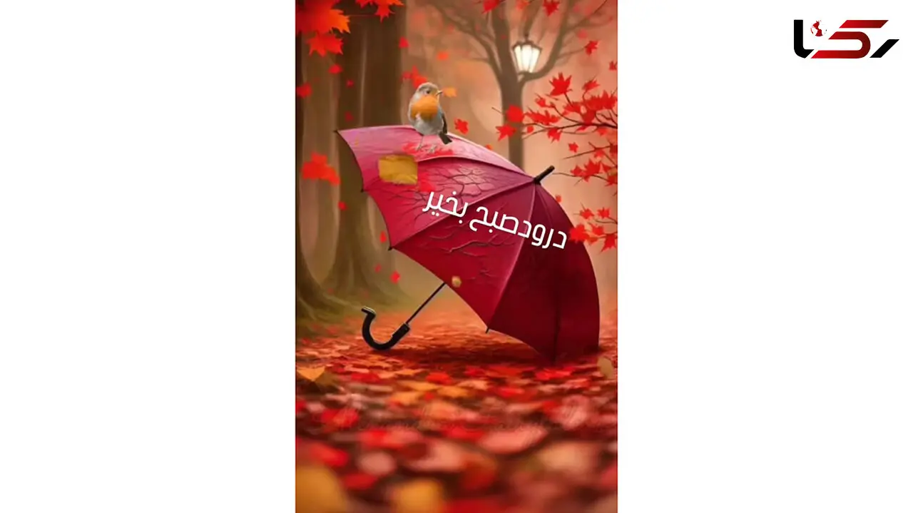فال و طالع بینی روزانه 12 آذر + فیلم 