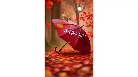 فال و طالع بینی روزانه 12 آذر + فیلم 