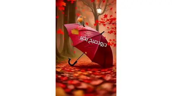 فال و طالع بینی روزانه 12 آذر + فیلم 