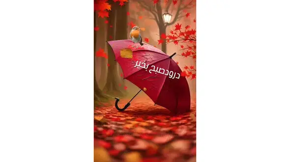 فال و طالع بینی روزانه 12 آذر + فیلم 