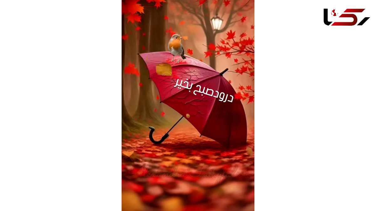 فال و طالع بینی روزانه 12 آذر + فیلم 