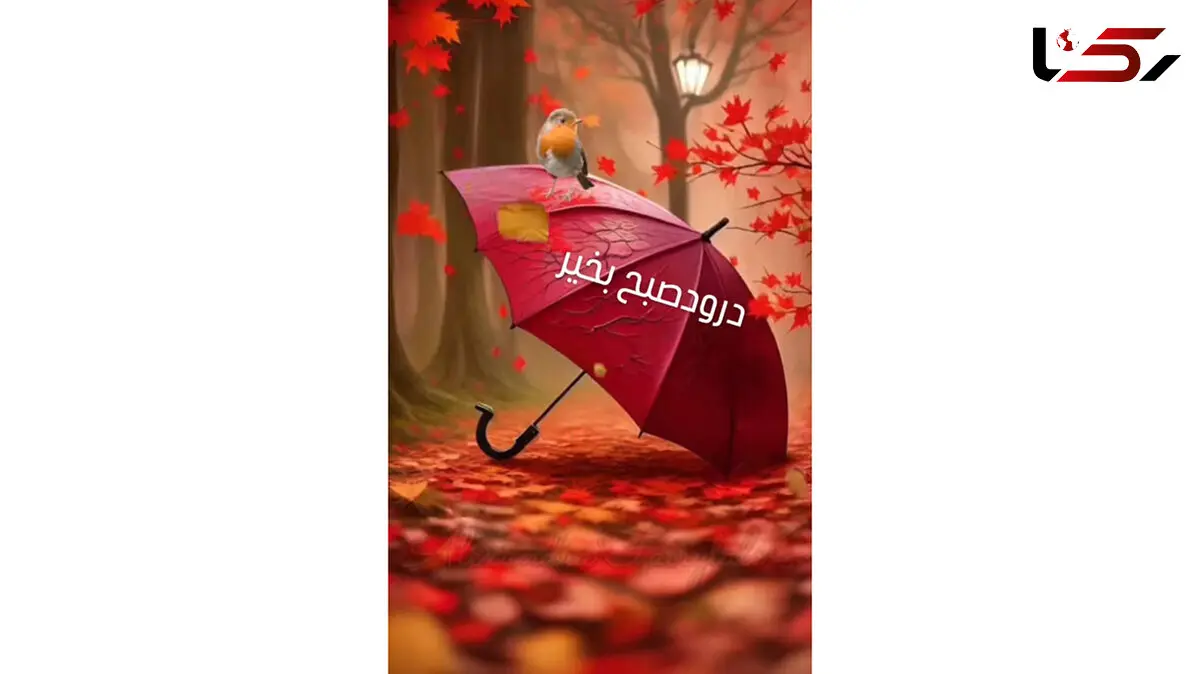 فال و طالع بینی روزانه 12 آذر + فیلم 