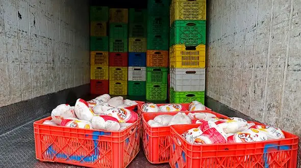 تعدادی از اخلالگران بازار مرغ به مراجع قضایی معرفی شده‌اند