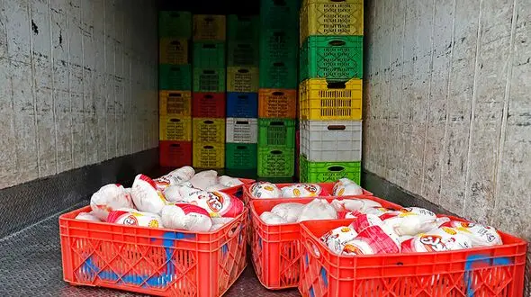 تعدادی از اخلالگران بازار مرغ به مراجع قضایی معرفی شده‌اند