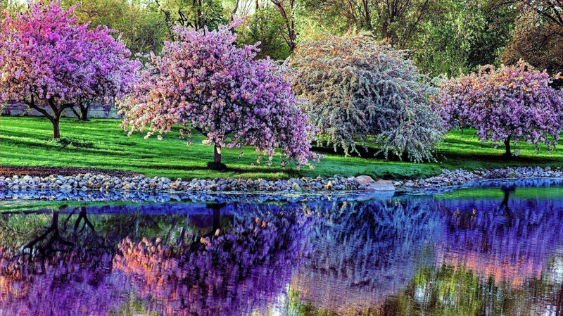 طبیعت بهار