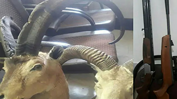 راز سر بریده در خانه شکارچی بی رحم در ارسنجان + عکس 