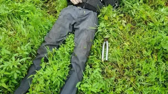 برق سارق حرفه ای را در بندرانزلی خشک کرد + عکس