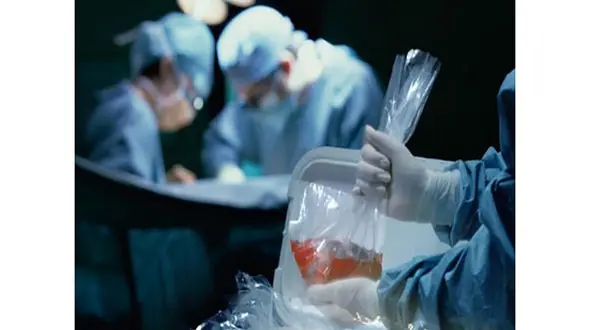 پدر تبریزی در شوک مرگ دختر و 2 دامادش زندگی بخشید / سودا محرمی فرشته نجات شد