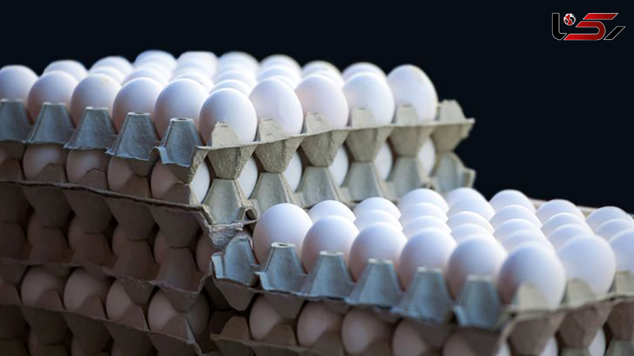 کشف 4 تن تخم مرغ قاچاق در گالیکش
