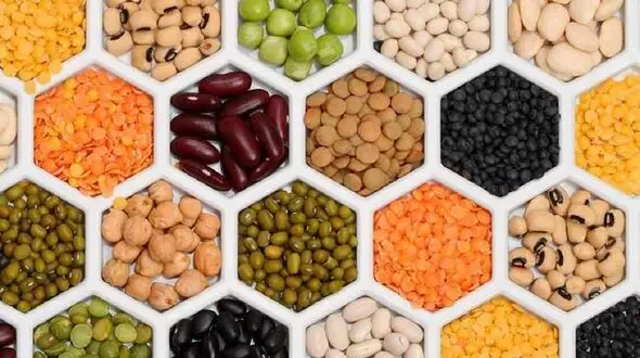 آیا مصرف حبوبات فشار خون را بالا می برد؟