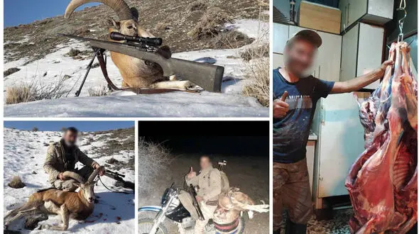 ۲۰ متخلف شکار و صید در مازندران دستگیر شدند 