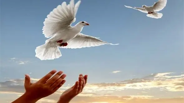 4 زندانی زاهدانی آزاد می شوند