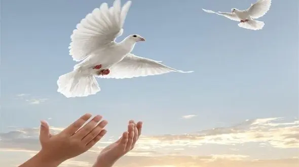 4 زندانی زاهدانی آزاد می شوند