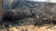 حمله وحشیانه به خانه ای در دهلران / همه جا در آتش سوخت  + فیلم تکاندهنده