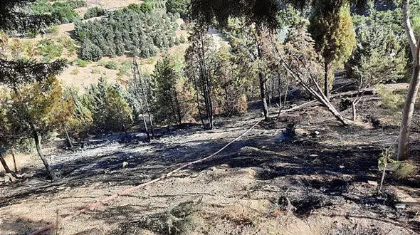 آتش سوزی هولناک در پارک جنگلی کوهسار تهران + عکس