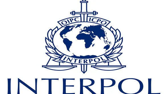 انتشار نام 173  داعشی توسط اینترپل 