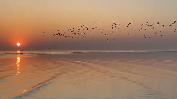 در لحظه زندگی کنید