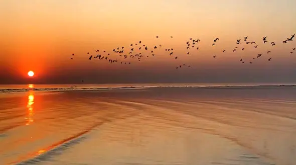 در لحظه زندگی کنید