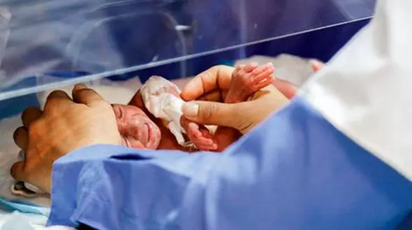 اجاره رحم 140 میلیونی توسط زن 26 ساله!