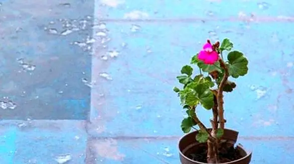 از فرق سر تا نوک پایتان را با این 10 نکته درمان کنید