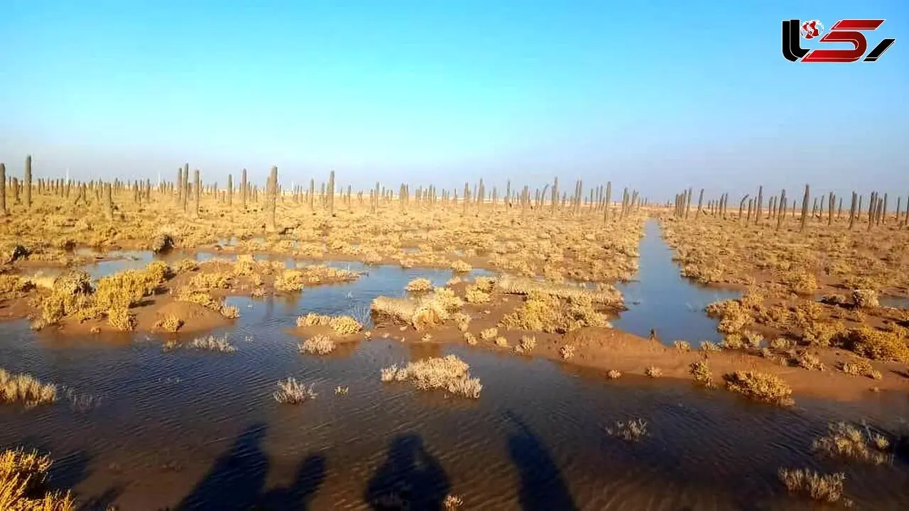 Bahmanshir Saltier Than the Persian Gulf: A Collapse of Ecological Balance in Southern Karun + Video