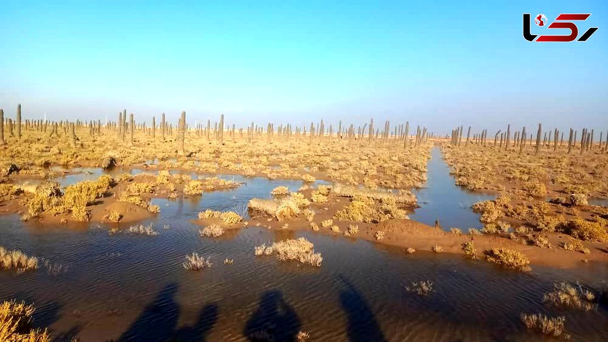 Bahmanshir Saltier Than the Persian Gulf: A Collapse of Ecological Balance in Southern Karun + Video
