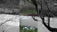 عکس امروز / پراید غرق شده در رودخانه جاده چالوس  