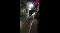 ممنوعیت الاغ سواری گردشگران چاق در یونان! + فیلم 