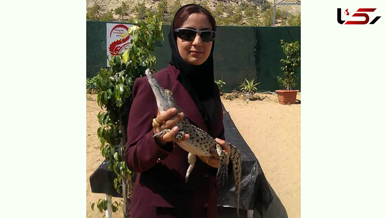 این بانوی ایرانی عاشق خزندگان است / مزرعه تمساح او دیدن دارد + عکس