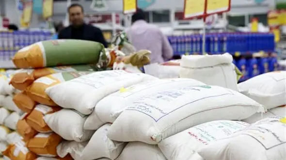 واردات برنج ممنوع شد