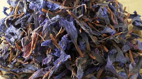 خواص شگفت انگیز گل گاوزبان!